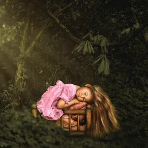Blissful Forest