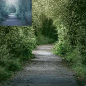 Secret Pathway