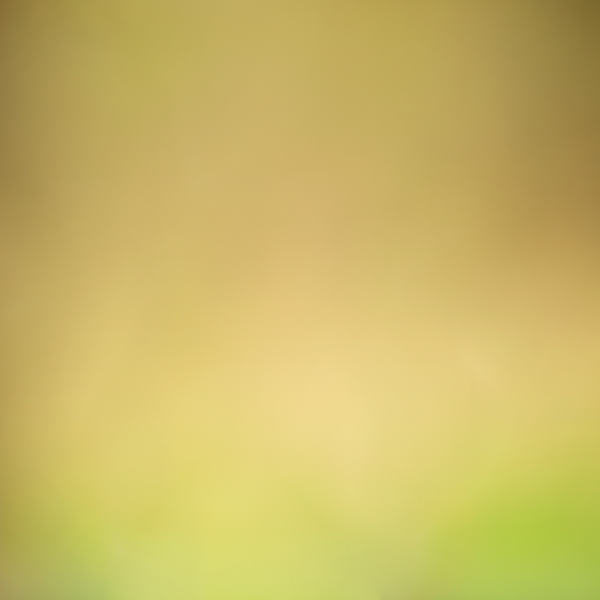Dreamy Blurred Background