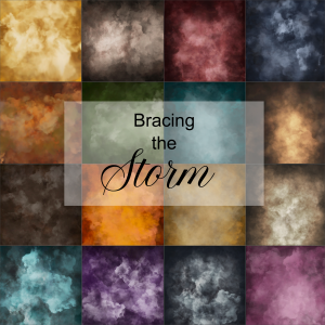 Bracing the Storm