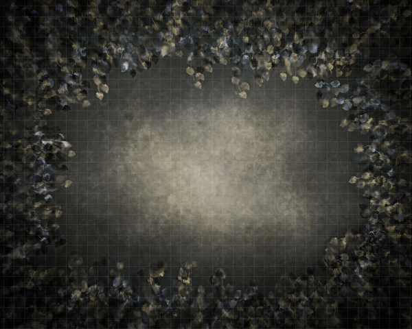 The Bella Collection - Image 6