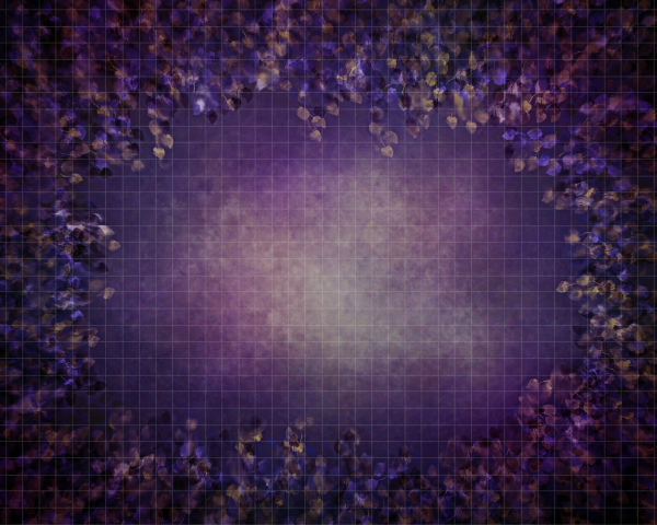The Bella Collection - Image 2