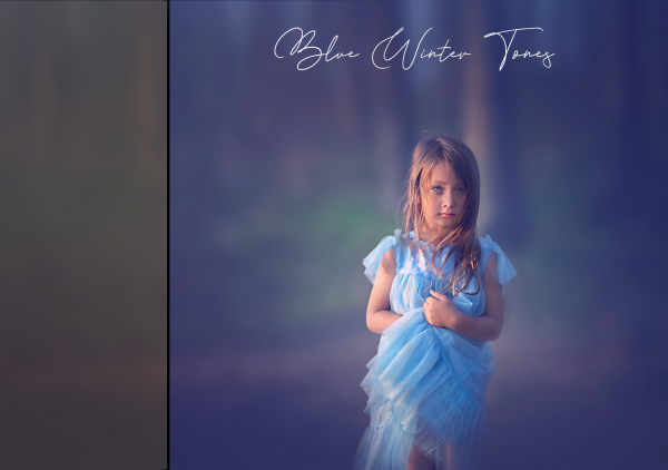 Blue Winter Tones