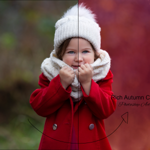 Rich Autumn Colours