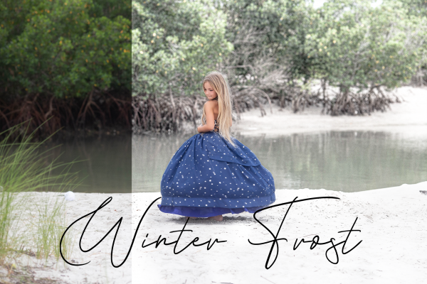 Winter Frost