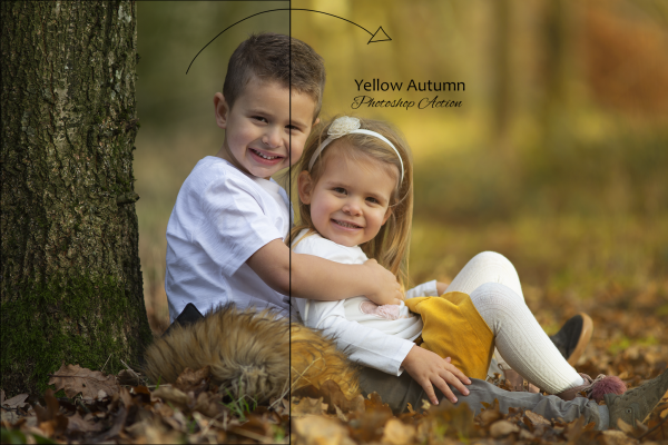 Yellow Autumn