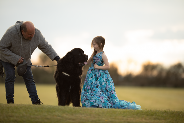 Morse the Pooch - Image 4