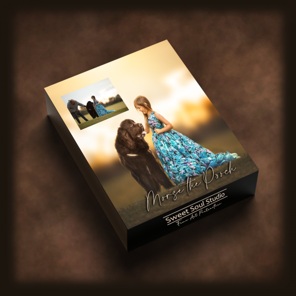 Morse the Pooch - Image 5