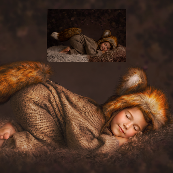My Sleepy Fox