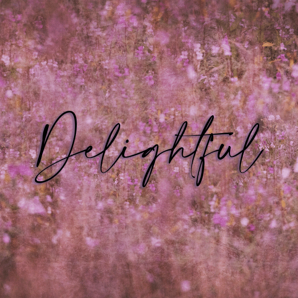Delightful Single Texture