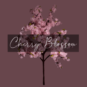 Cherry Blossom Tree Overlay