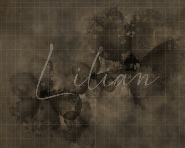 Lilian Single Texture