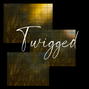 Twigged Texture