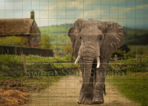 Elephant in the farm