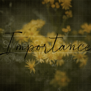 Importance Single Texture