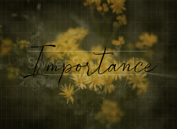 Importance Single Texture
