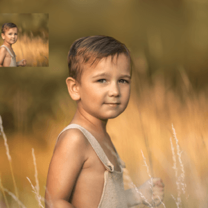 Tall Grass Overlays