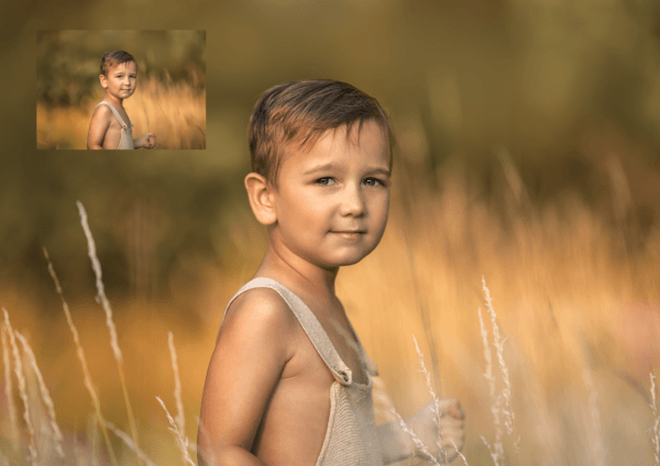 Tall Grass Overlays