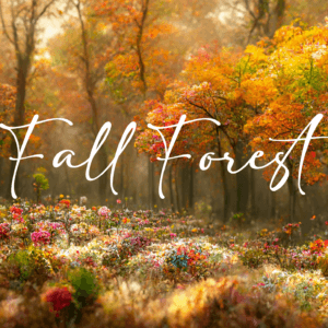Fall Forest Digital Background