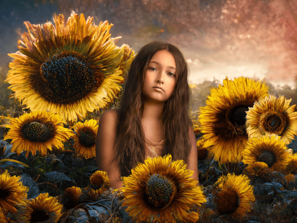 Walk Among the Sunflowers - Image 3