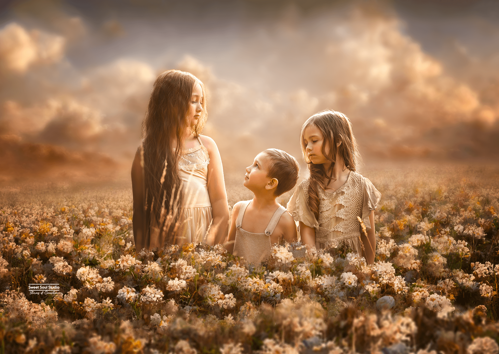 Summer Dreams Digital Backdrop - Image 2
