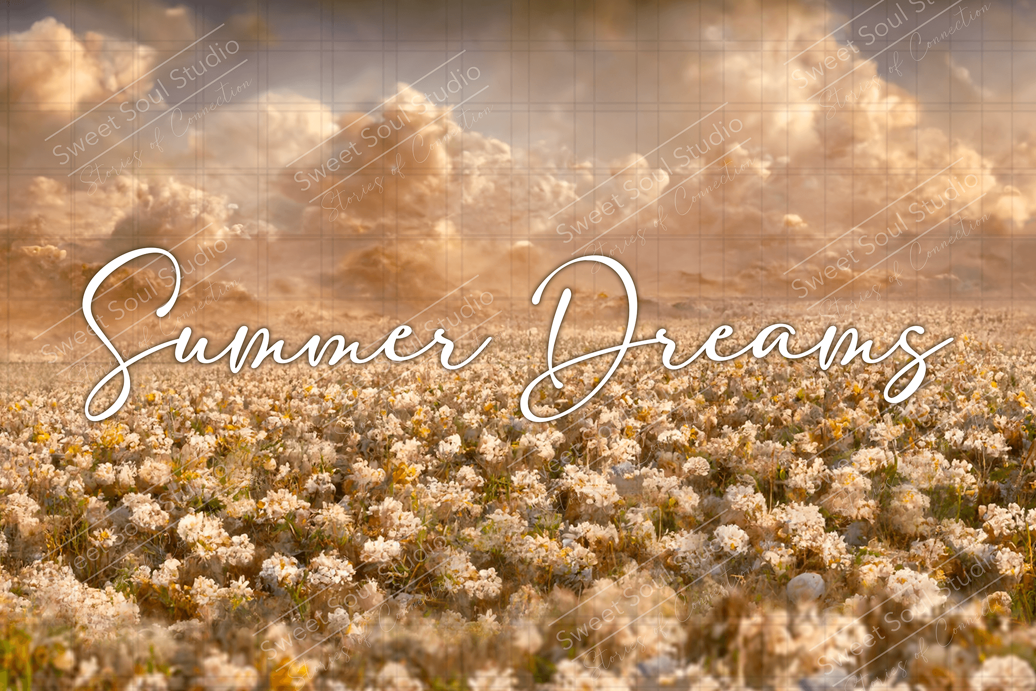 Summer Dreams Digital Backdrop