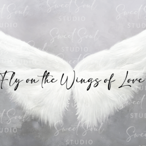 Fly on the Wings of Love single texture