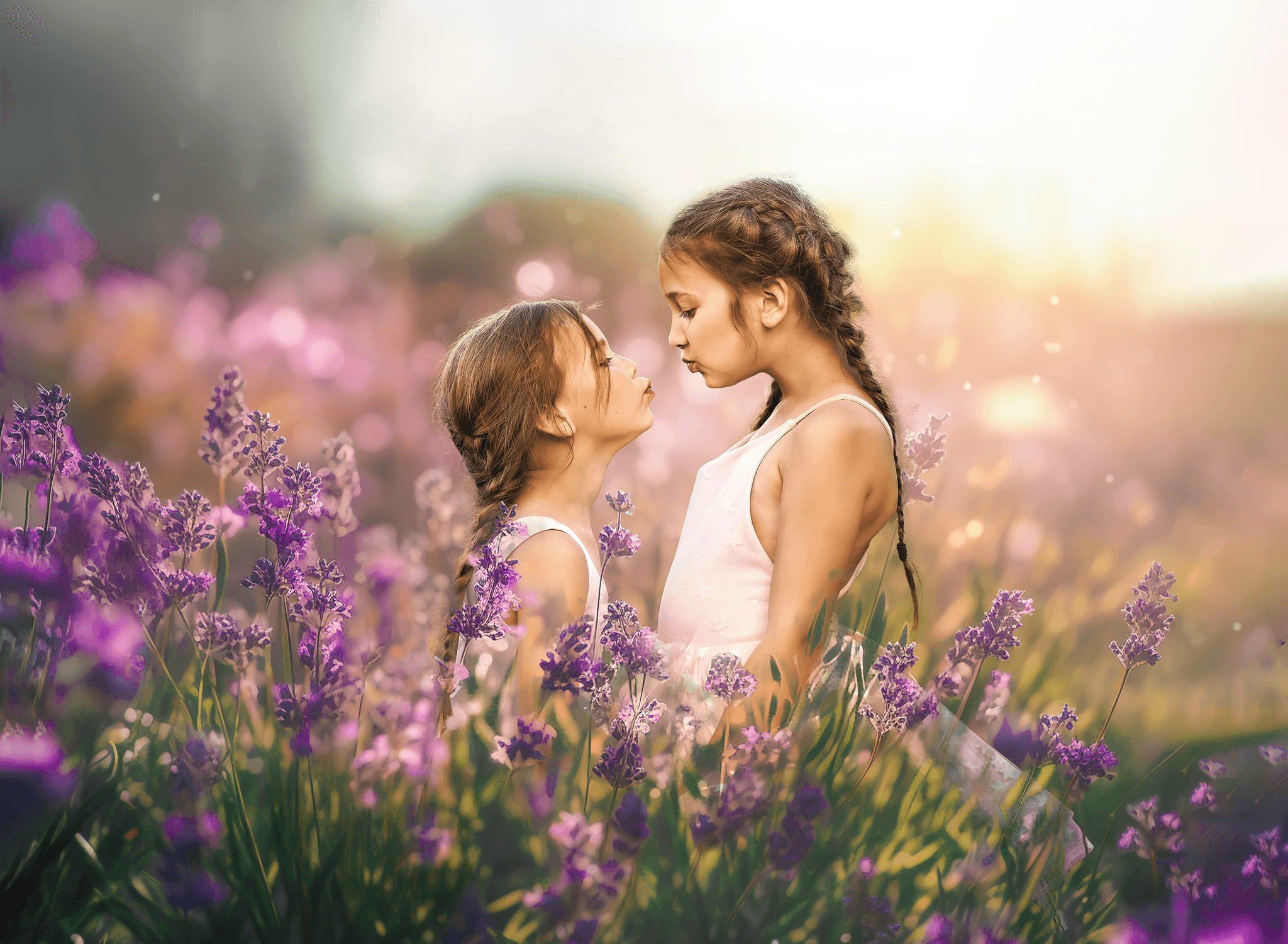 Lavender Field PSD - Image 2