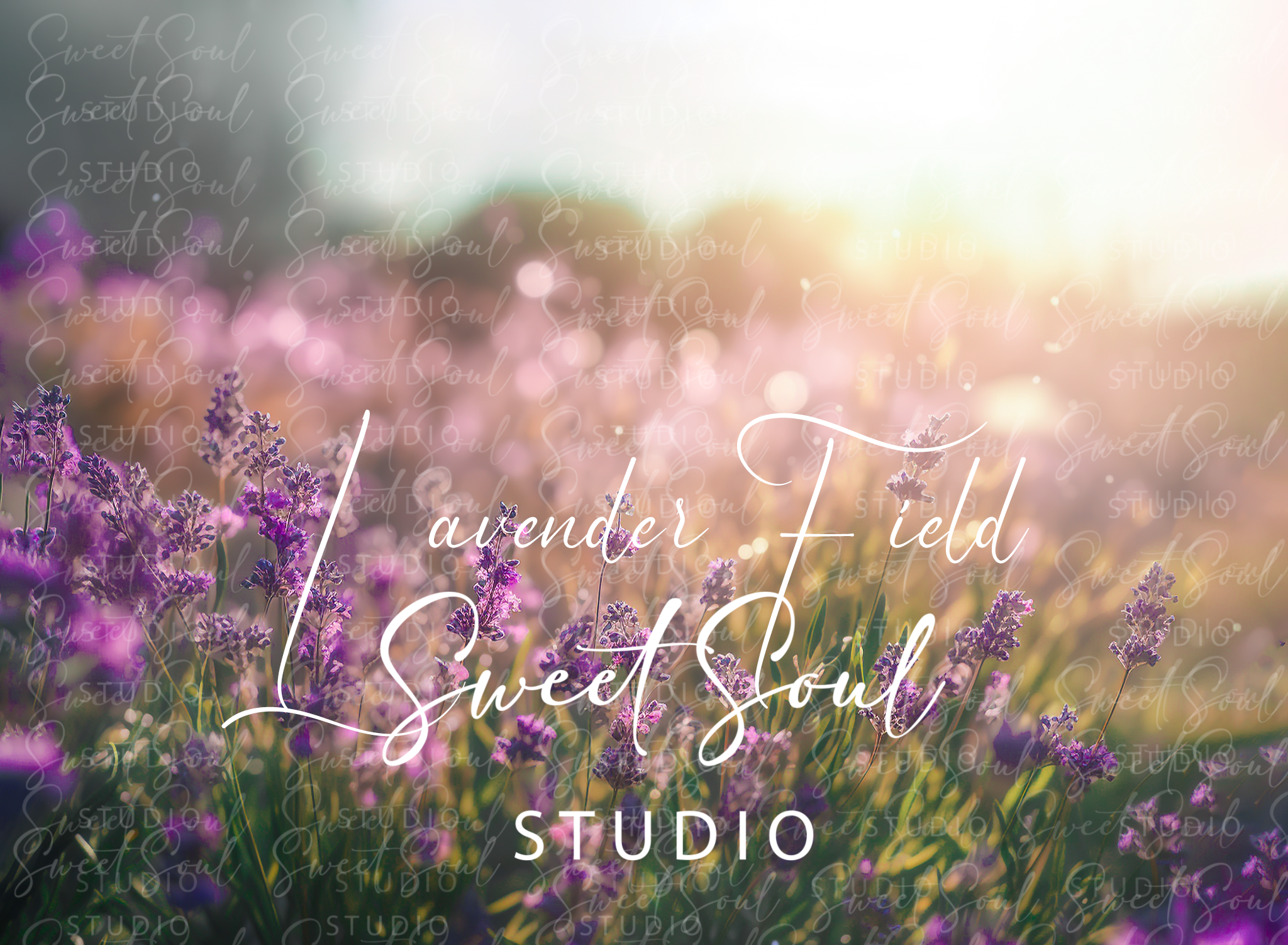 Lavender Field PSD