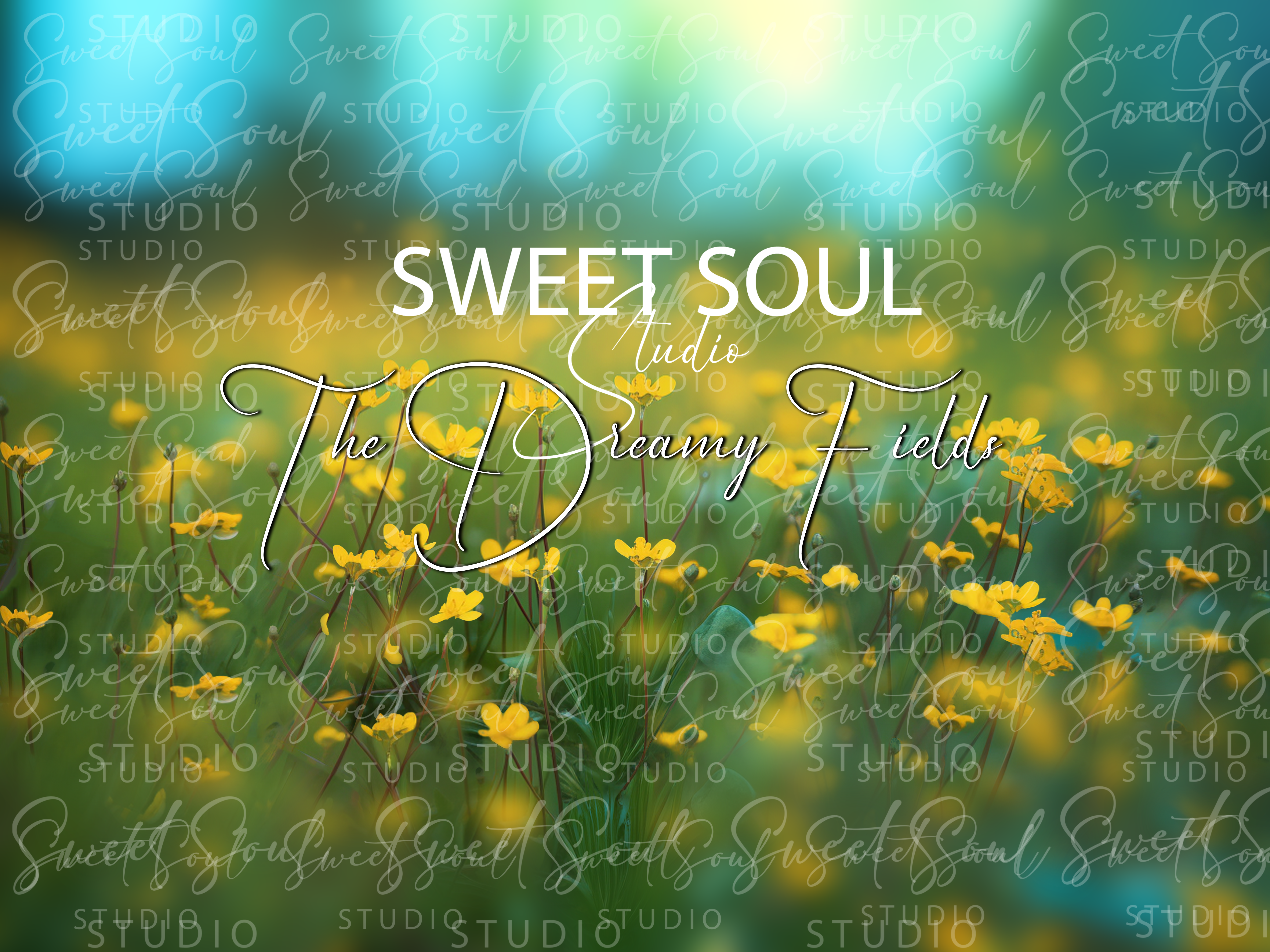 The Dreamy Fields - Image 2