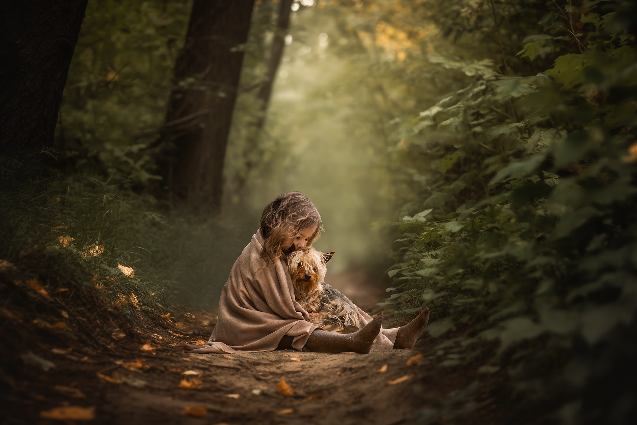 Pretty Light in the Woods - Image 2