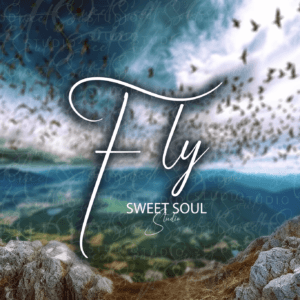 Fly