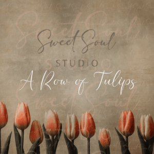 A Row of Tulips