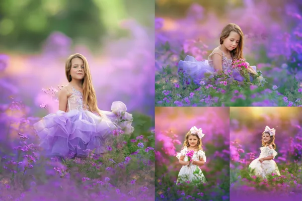 Lilac Flower Fields