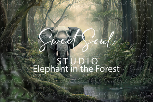 Elephant in the Forest