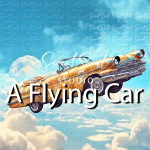 A Flying Car