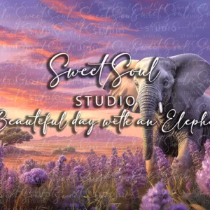 A Beautiful day with an Elephant