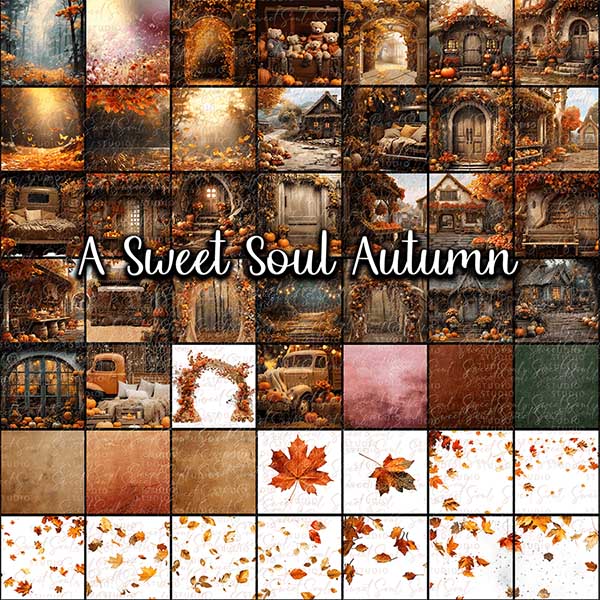 A Sweet Soul Autumn 2023