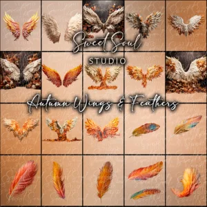 Autumn Wings and Feathers