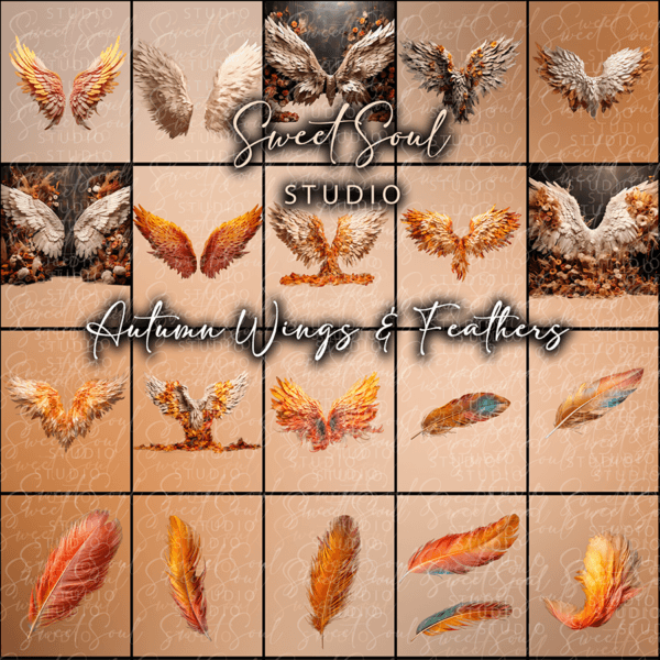 Autumn Wings and Feathers