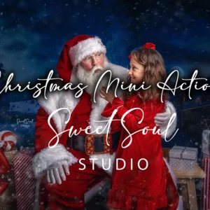 Christmas Minis (studio) actions collection