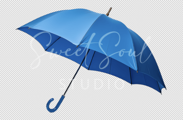 Lost at Sea Collection - Image 17