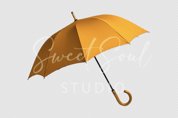 Lost at Sea Collection - Image 15