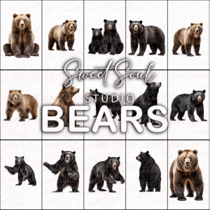 Bears PNG