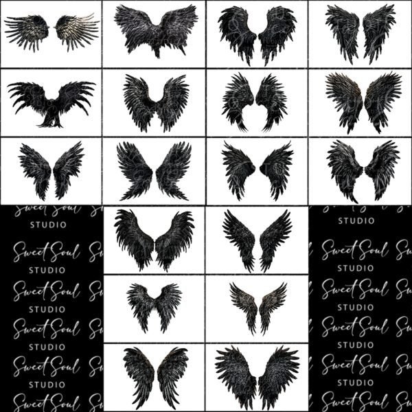 Black Angel Wings