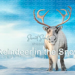 Reindeer in the Snow