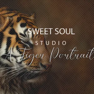 A Tiger Portrait