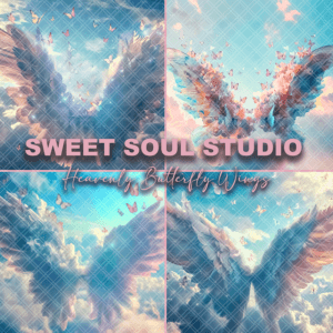 Heavenly Butterfly Wings
