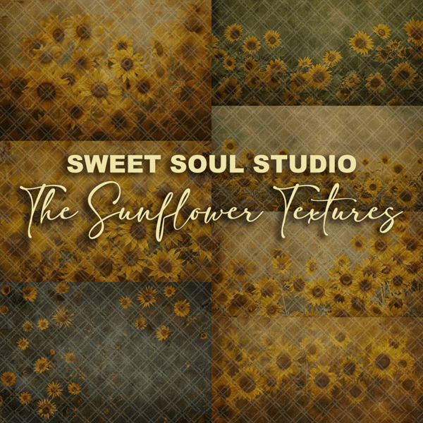 The Sunflower Textures - Image 3