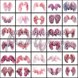 Pink Wings